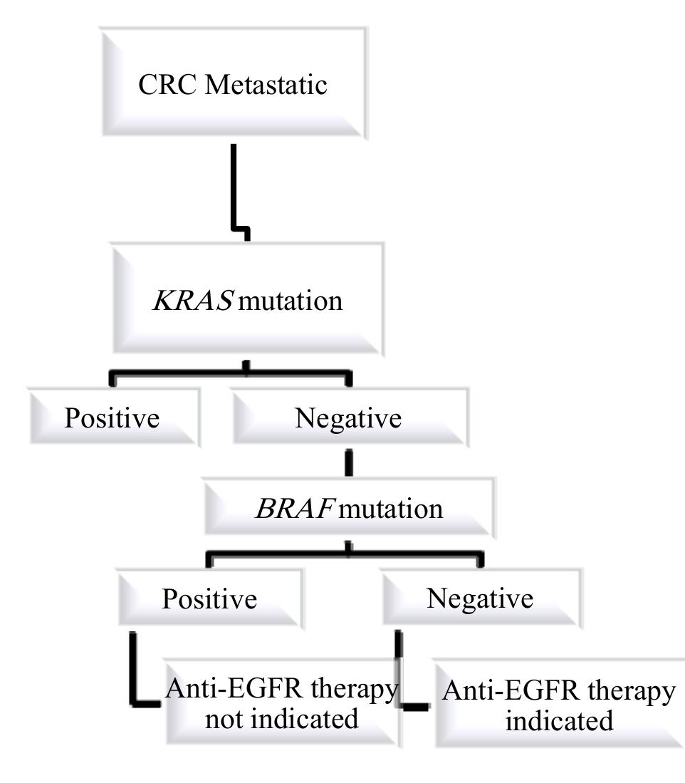(PDF) Clinical implications of BRAF mutation test in colorectal cancer
