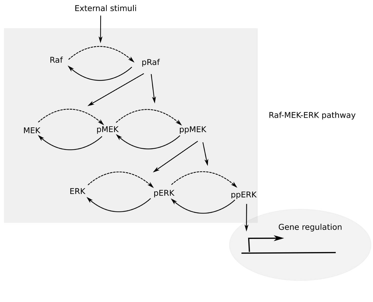 Figure 2 - from Understanding the mechanisms of robustness