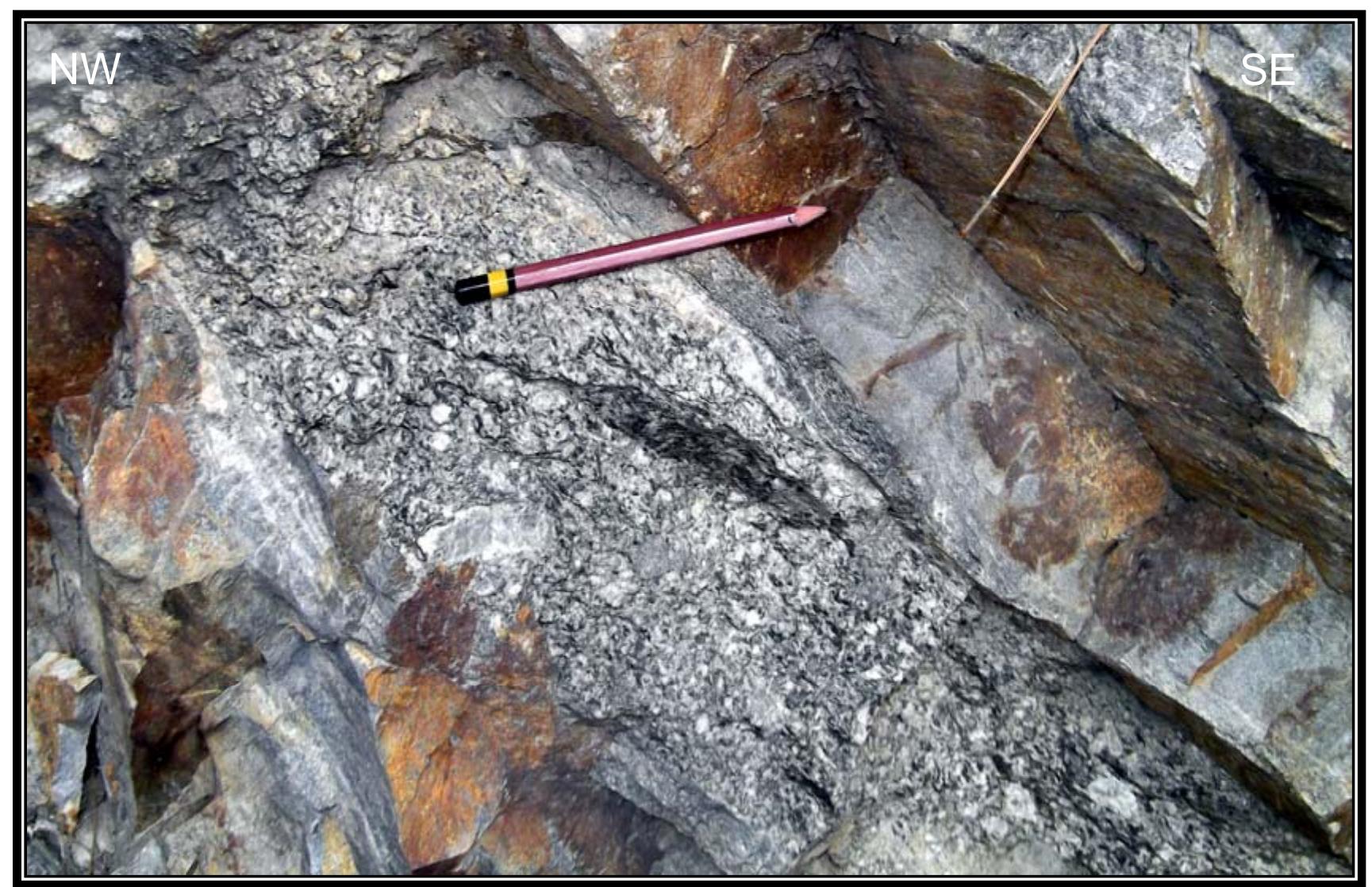 ＣＩＡ Issue 72 - Mystery Signals - Support