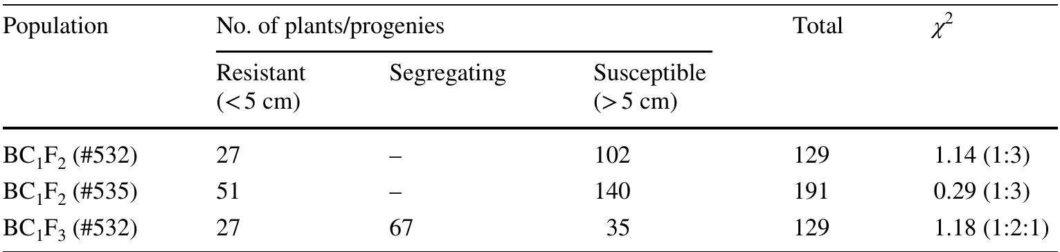その他 SHARP WG -PN1 PDF) High-resolution genetic mapping of a novel bacterial blight