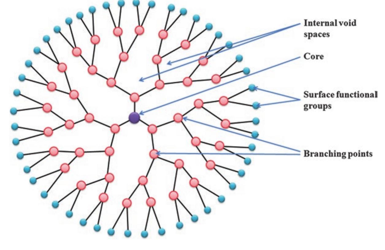 (PDF) IPN Dendrimers in Drug Delivery