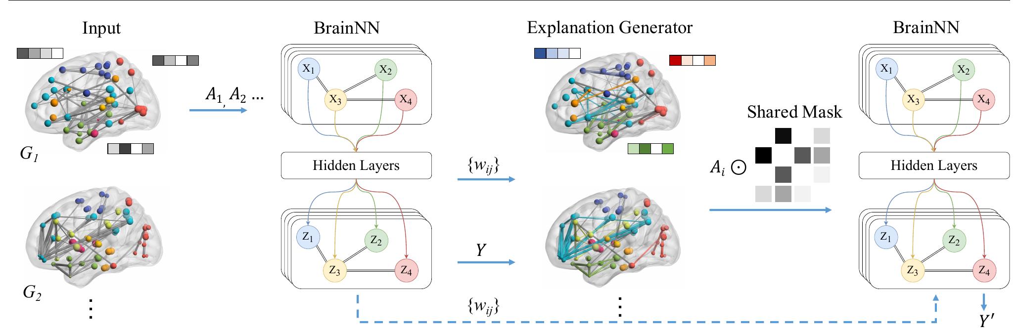 (PDF) BrainNNExplainer: An Interpretable Graph Neural Network Framework ...