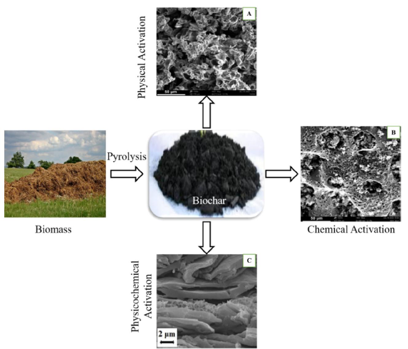 (PDF) A Review on Production and Surface Modifications of Biochar ...