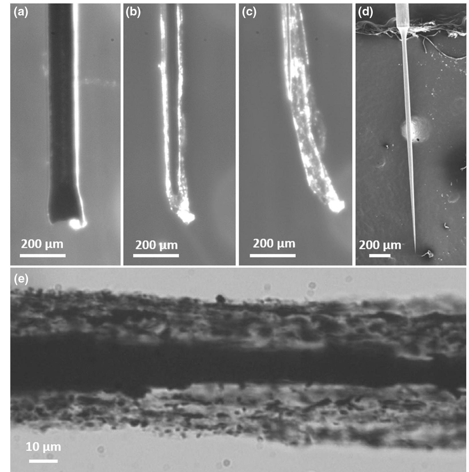 Tungsten Core Shell (PDF) Complexity of Products of Tungsten Corrosion: Comparison of the ...