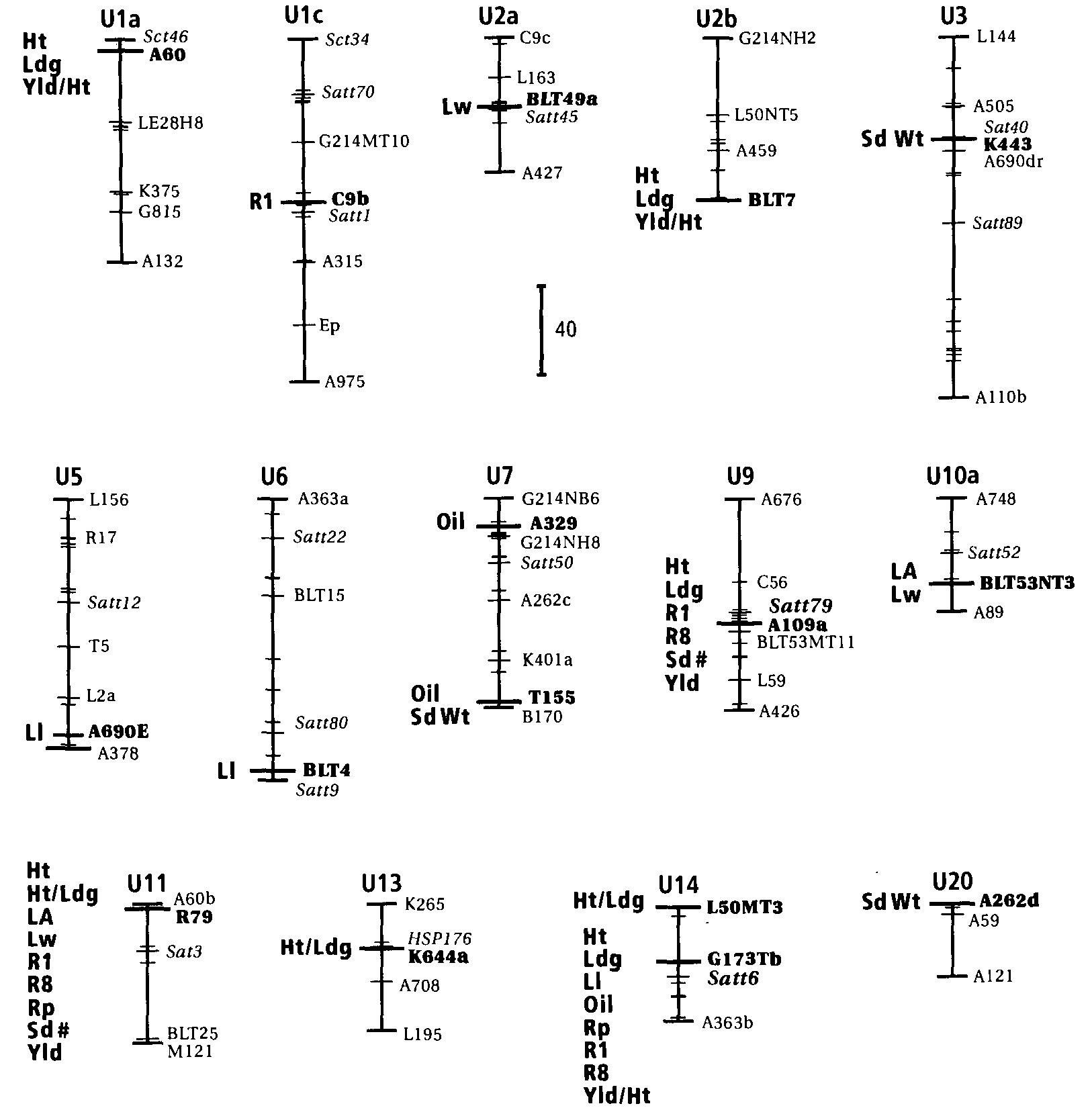 (PDF) Genetic Mapping of Agronomic Traits Using Recombinant Inbred ...