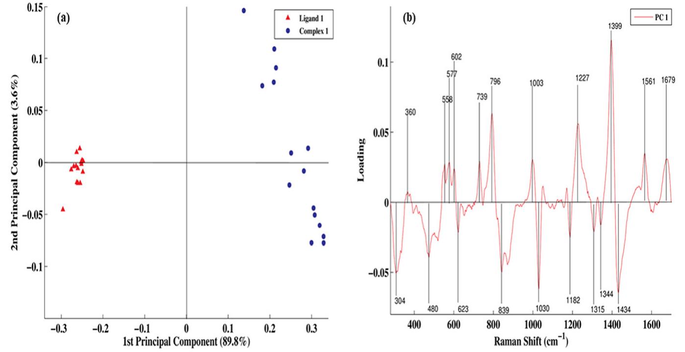 (PDF) Raman spectroscopy along with Principal Component Analysis for ...