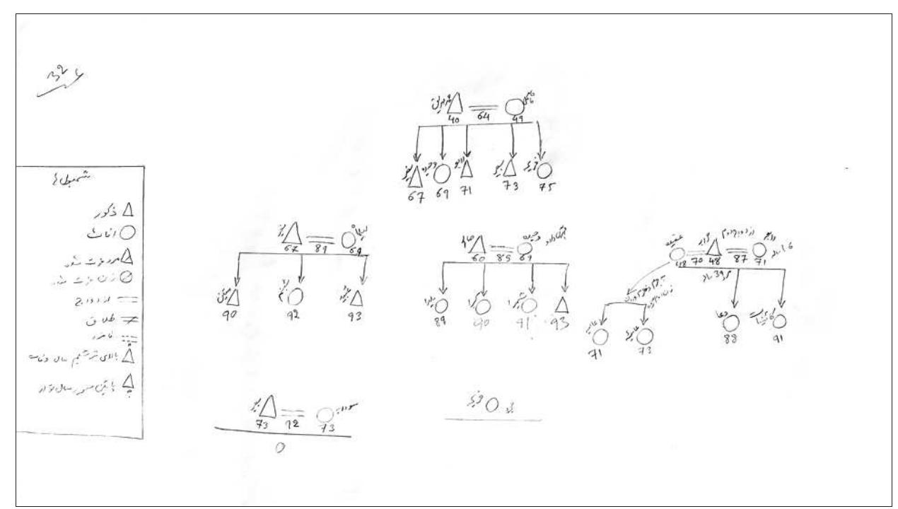 Figure 1: Example of a Genealogy Taken During Fieldwork, Mazat-e Sharif  For this study, each of the authors has undertaken ethnographic fieldwork for at least one year in the respective communities becoming familiar with the specificities of the urban contexts and the group under analysis. The demographic data was collected using genealogies that contain basic information including birth, death, year of marriage/divorce/remarriage, number of children, and additional information on migration, employment and religious education for selected individuals of the samples. Each genealogy was noted on a separate sheet of paper and the narrative going along with the genealogy either recorded or noted separately. This was done in a systematic way in order to obtain a micro-census representative for the group under study. Since genealogies include people for whom information on vital events is not available (for instance ancestors or far away relatives) only parts of the genealogical information were later transferred into Excel tables. These were the basis for the statistical analysis shown below. Where possible, complete sets of siblings were transferred into the tables because of the importance of birth order for marriage among Tajiks. Statistical analysis  accompanied the evaluation of the qualitative data. 