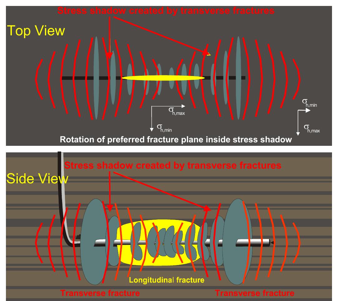 Stress shadow effect on transverse fracture growth