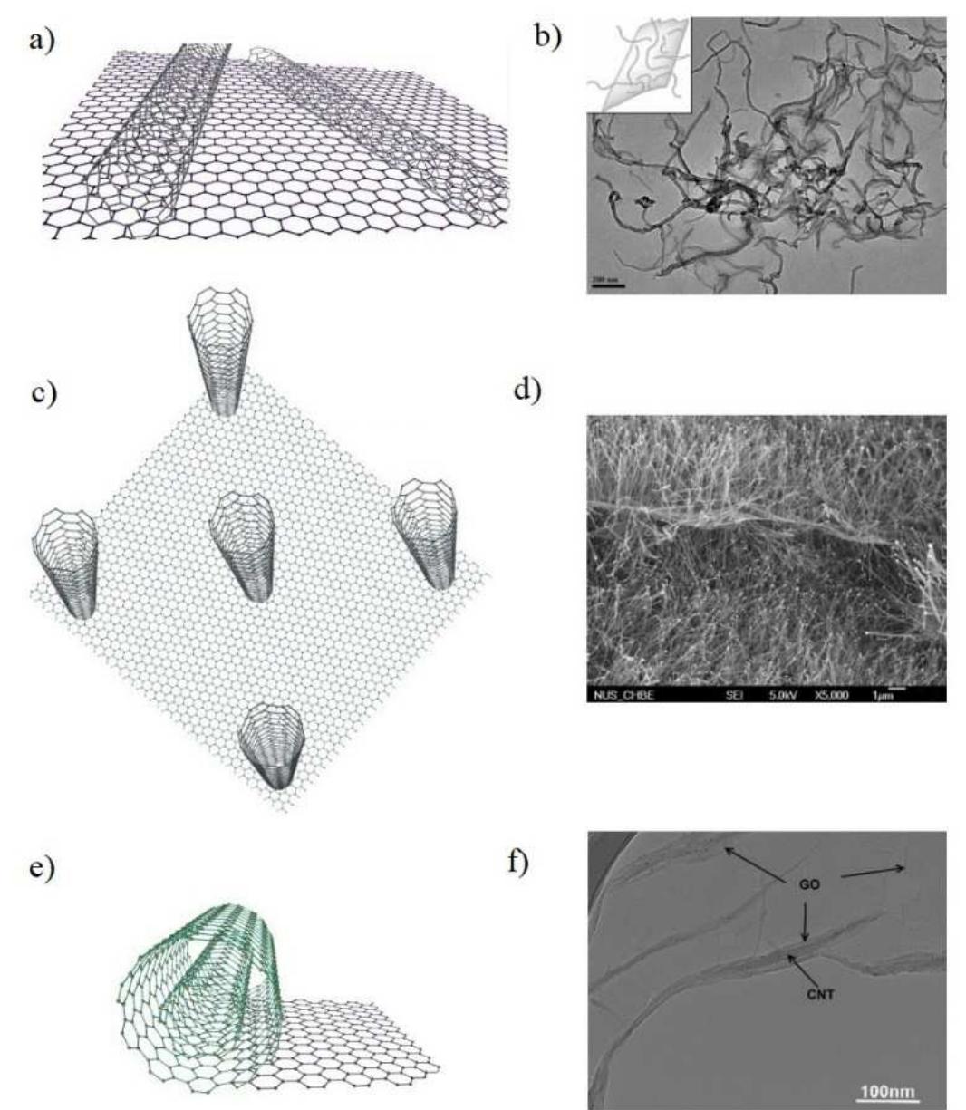 (PDF) Silicone Composites with CNT/Graphene Hybrid Fillers: A Review
