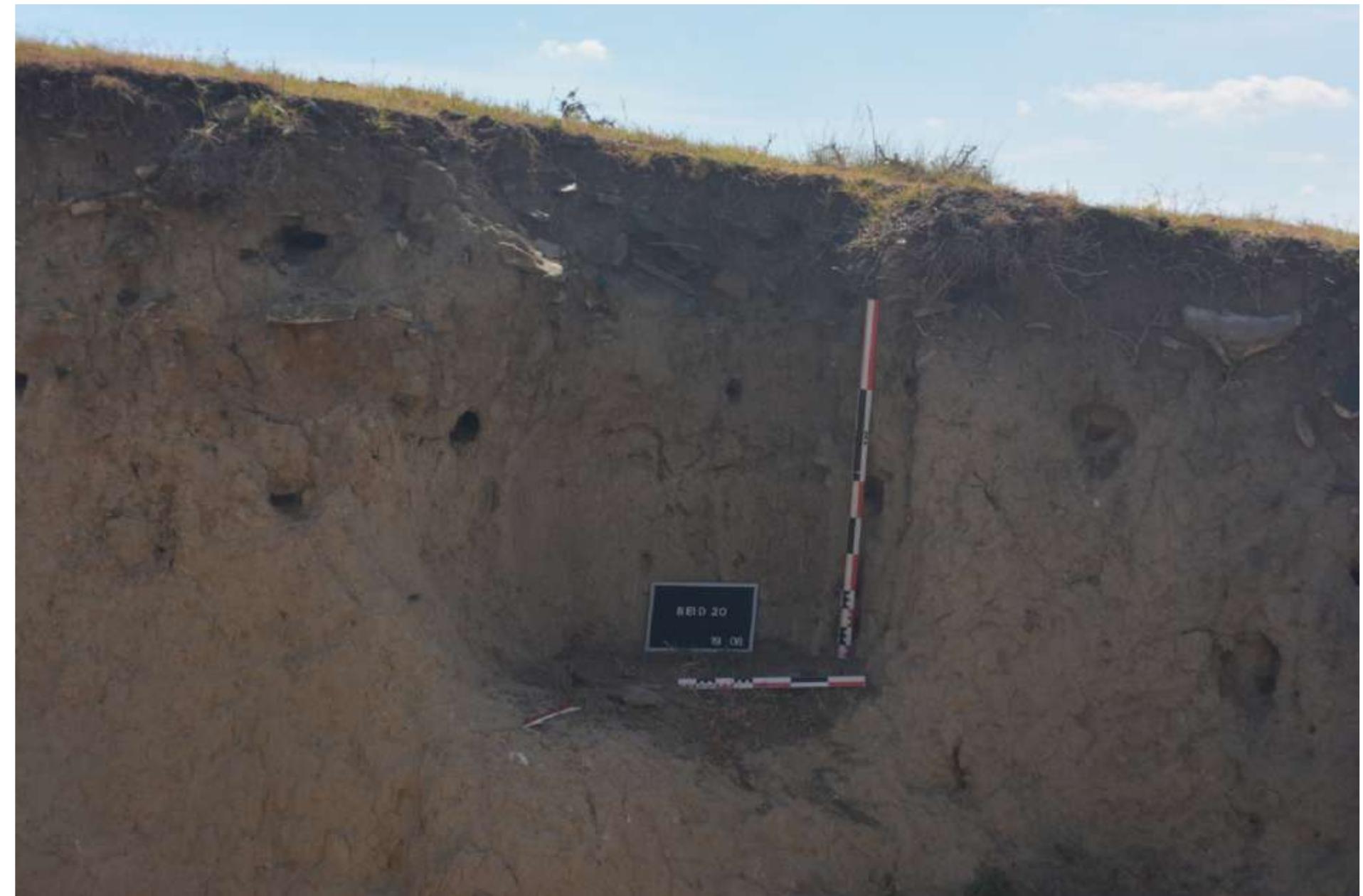 (PDF) The Beidaud Archaeological Microzone Research Project ...