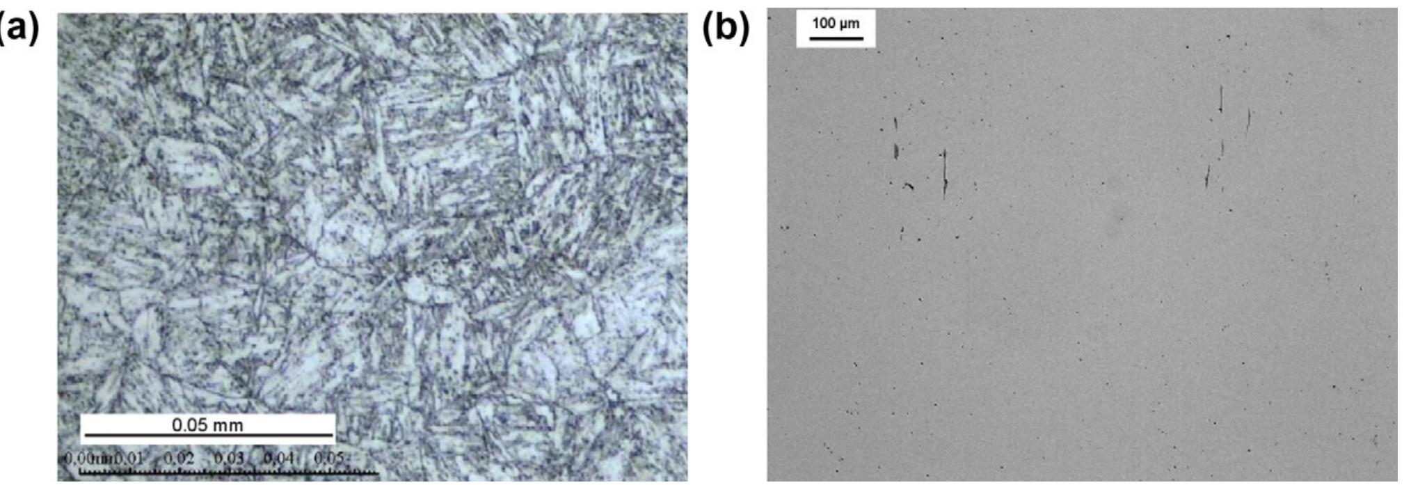 Metal Inclusion Microstructure (a) r5 steel microstructure after nital etching and (b)