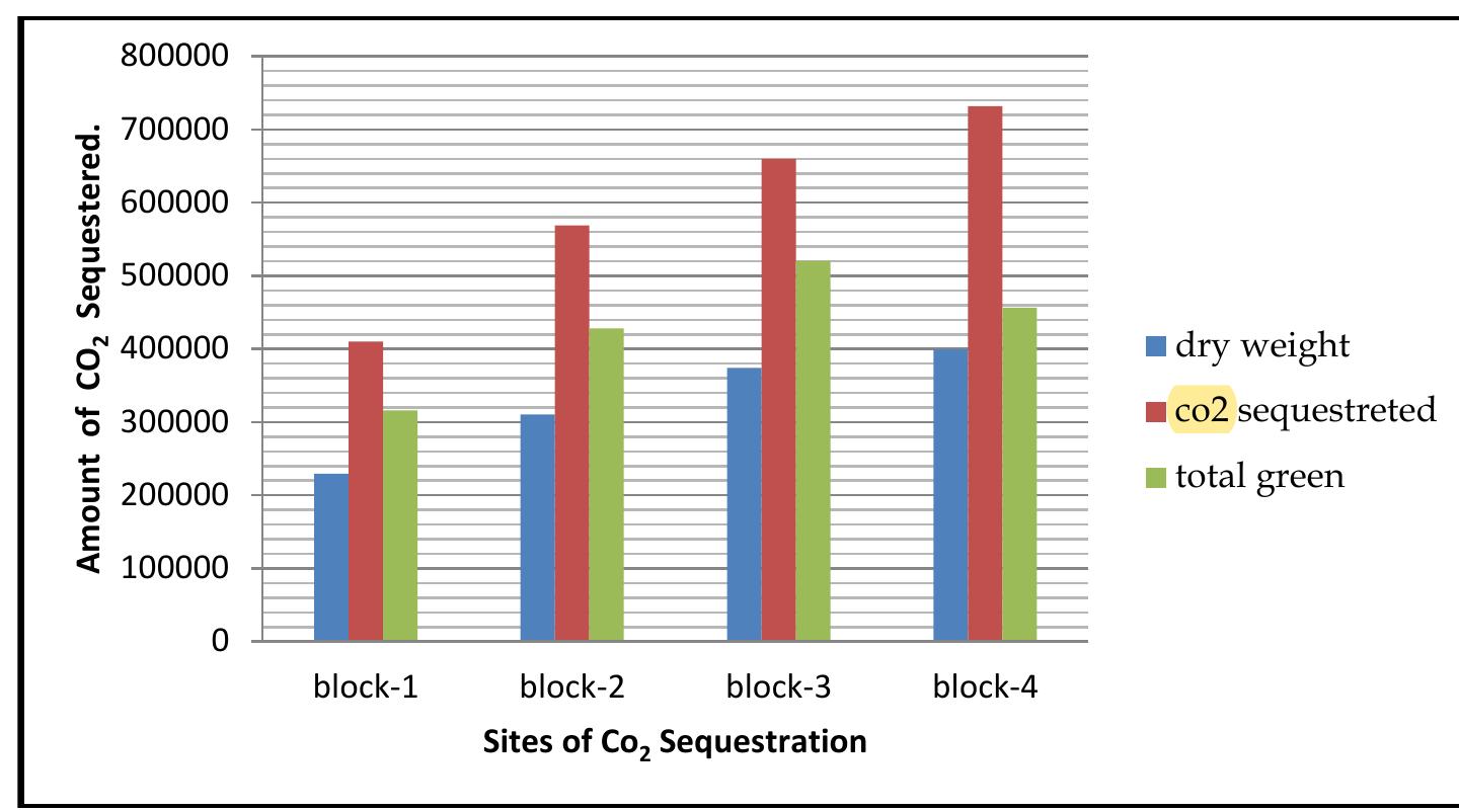 (PDF) Estimating the Potential Of Carbon Sequestration In Tree Species ...