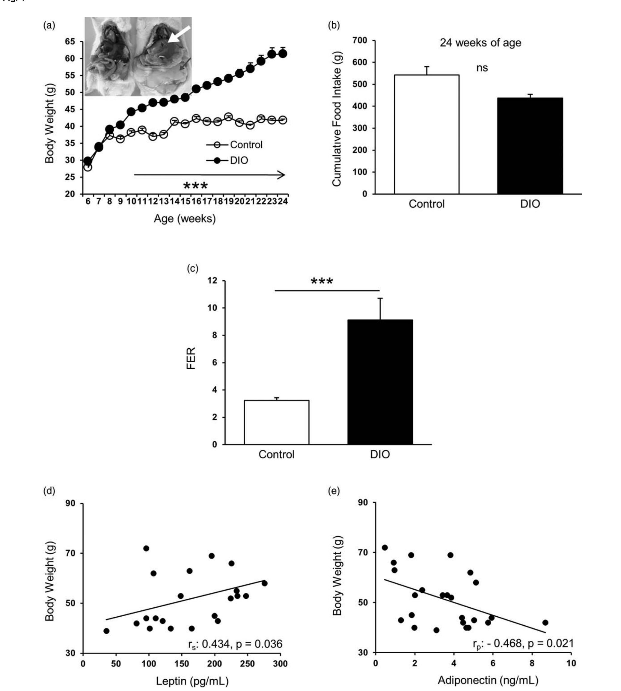 Figure 1 - from Mice with diet-induced obesity demonstrate a