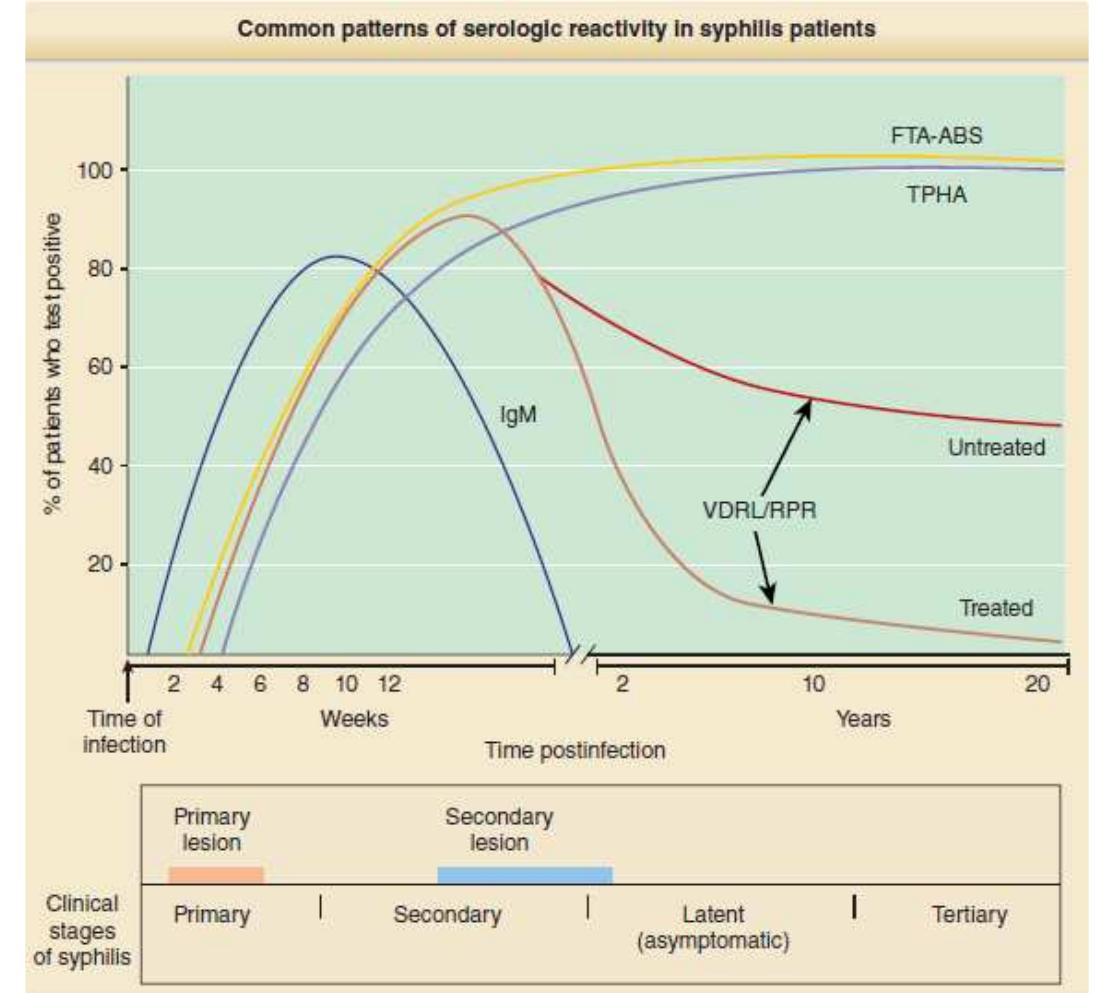 (PDF) Laboratory Examination of Syphilis