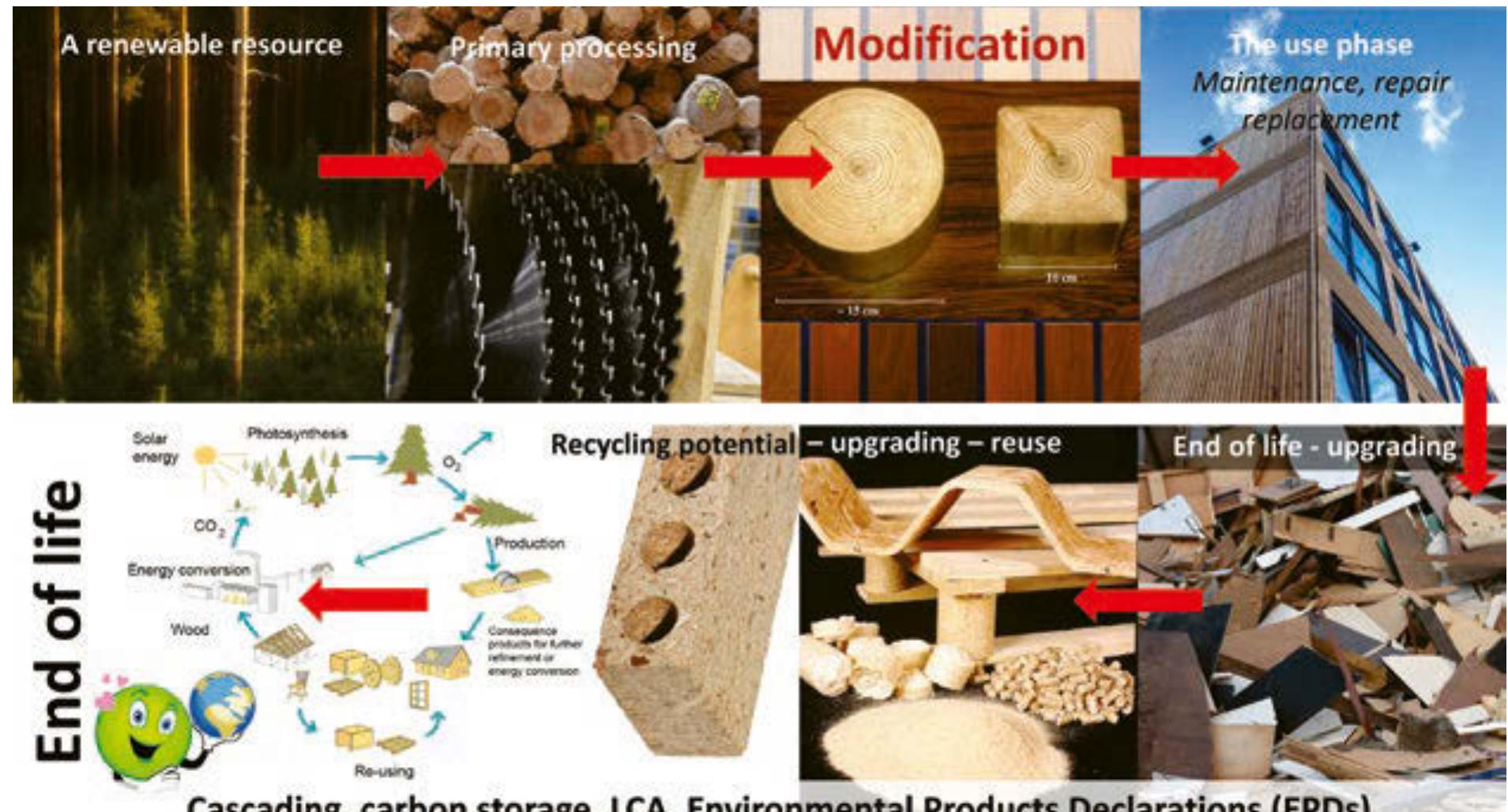 Figure 38 - from Wood Modification in Europe