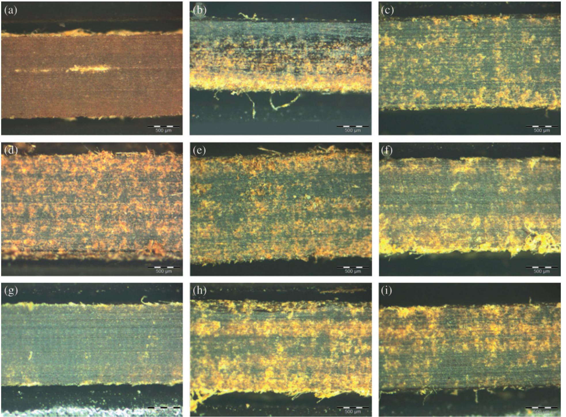 Photographs of cross sections of laminates made with the