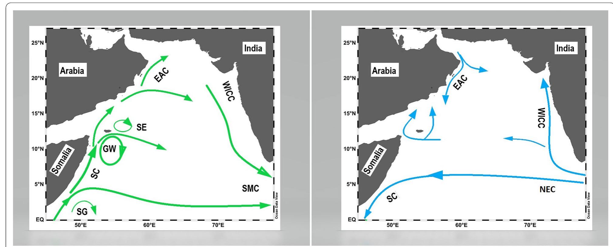 Schematic map of surface currents of the as. the left panel