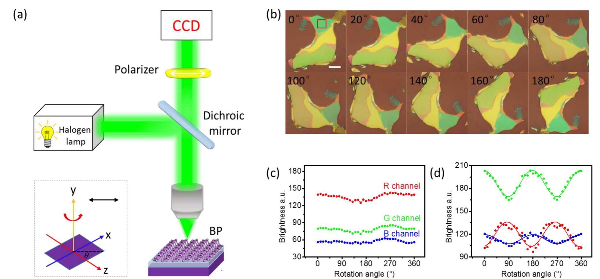 (PDF) Optical Anisotropy of Black Phosphorus in the Visible Regime