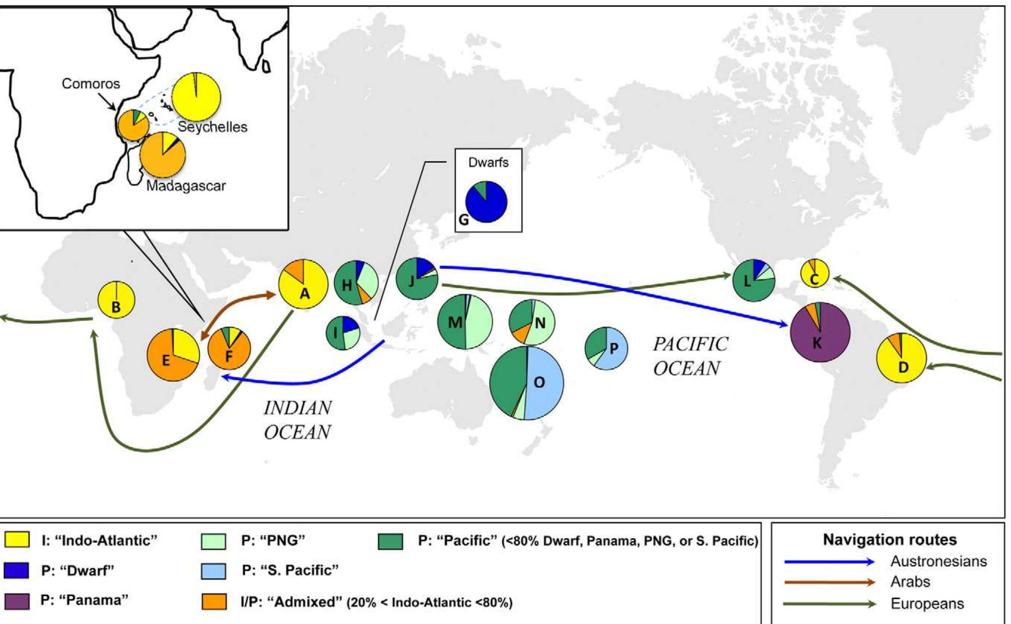 Subpopulation Chart (PDF) Independent Origins of Cultivated Coconut (Cocos nucifera L.) in ...