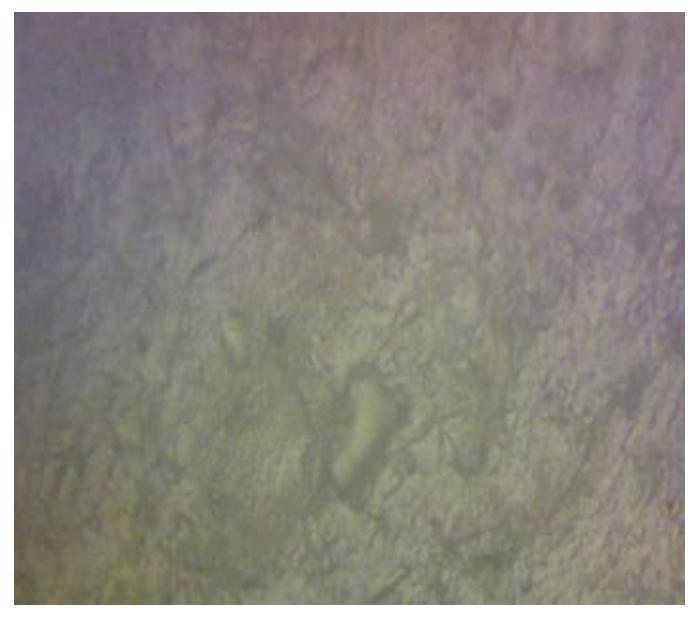 Microstructure of ai7005 with 1% s glass and 6% flyash