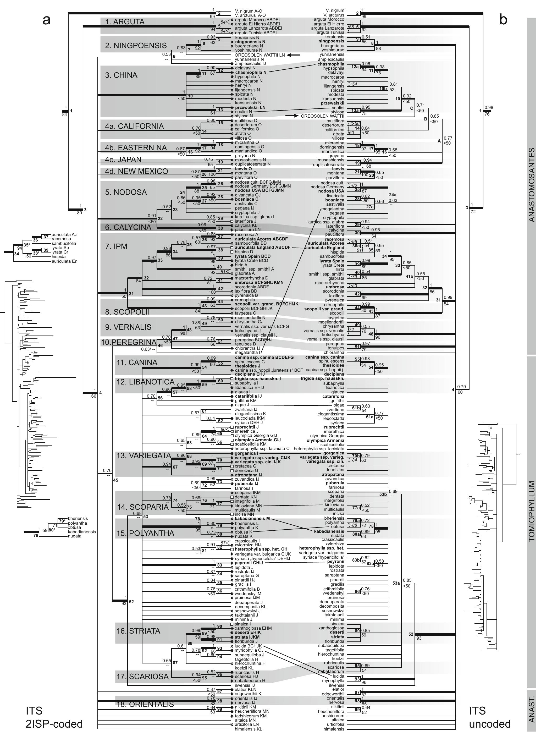 Figure 26 - from Evolutionary history and biogeography of