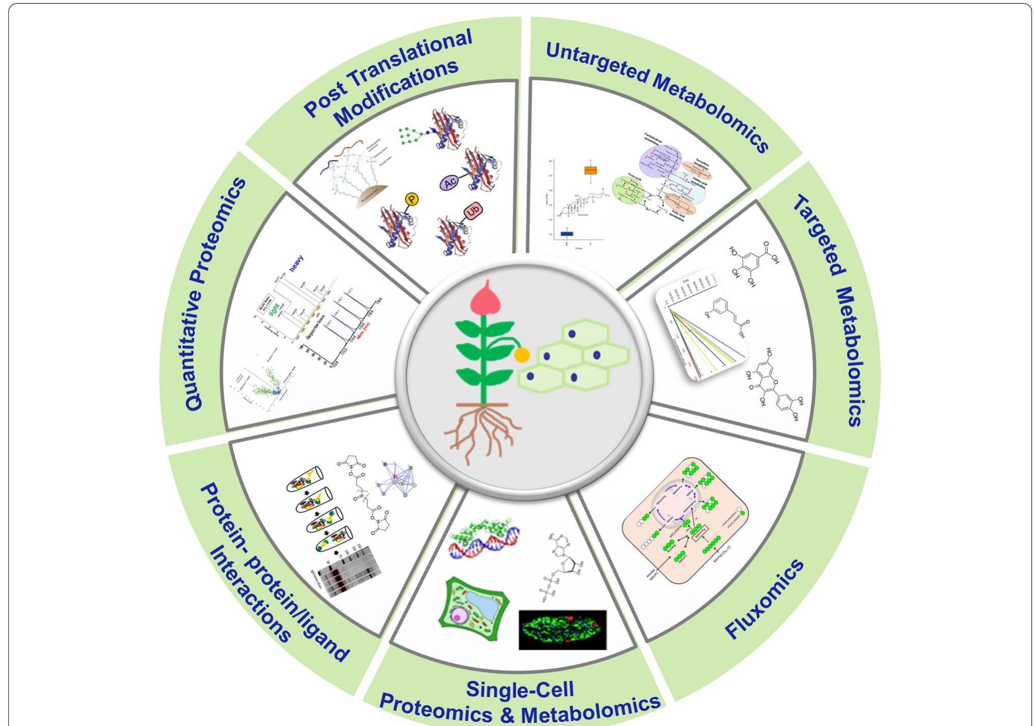 (PDF) Recent advances in proteomics and metabolomics in plants