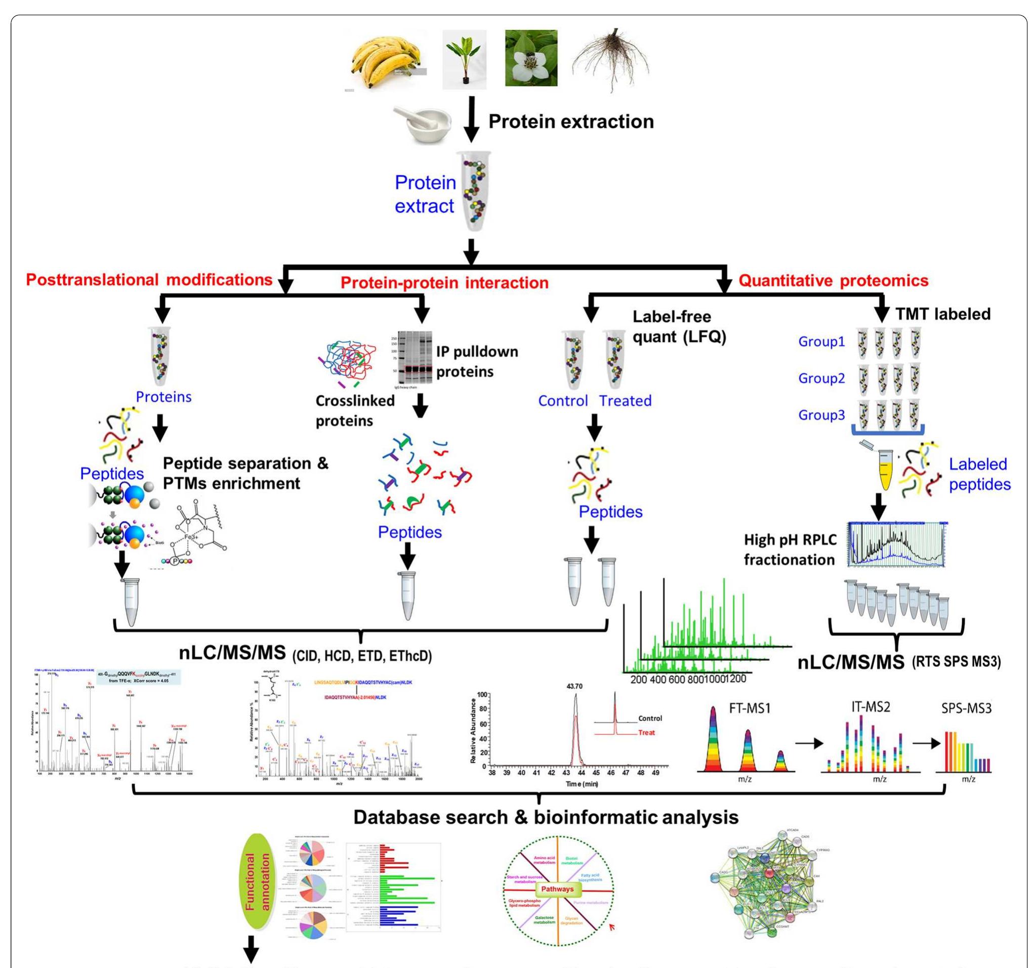 (PDF) Recent advances in proteomics and metabolomics in plants