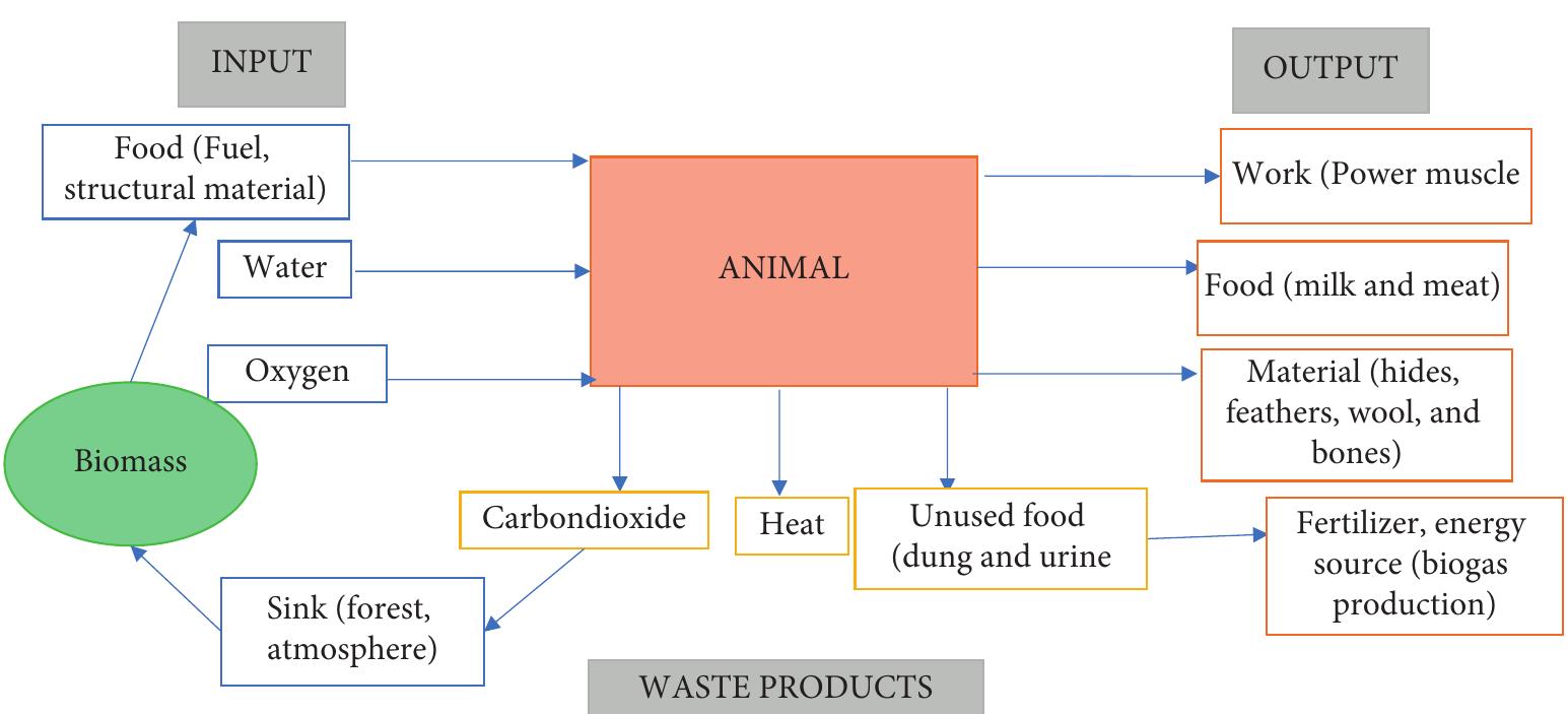 Figure 1: Input-output block for working animals, adapted from Fuller and Aye [67]. 