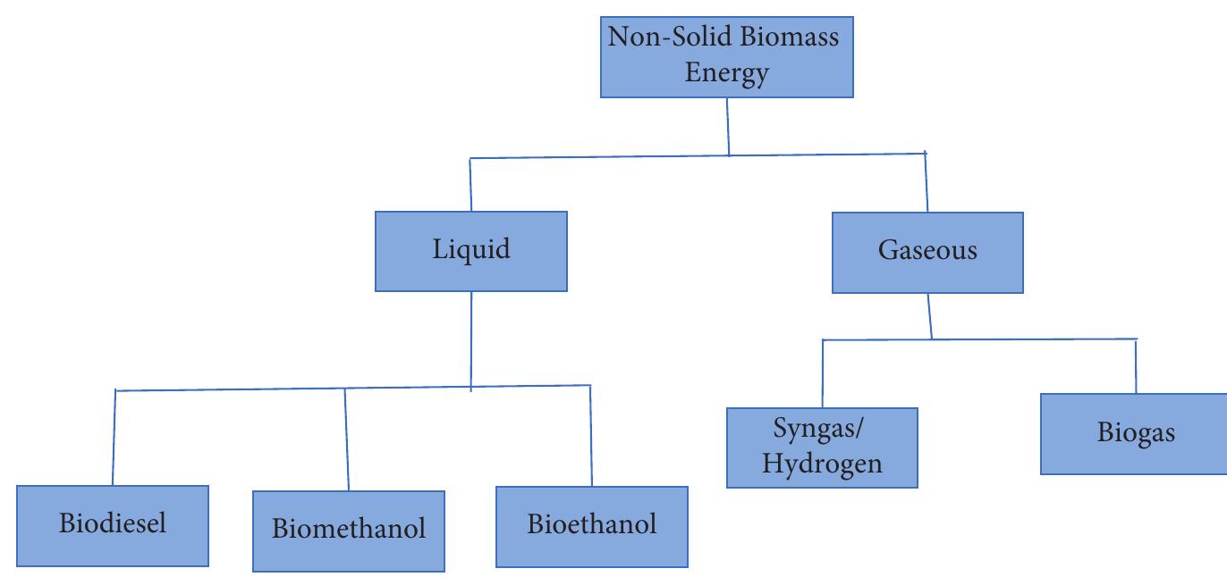 Figure 5: The classification of nonsolid biomass energy. 