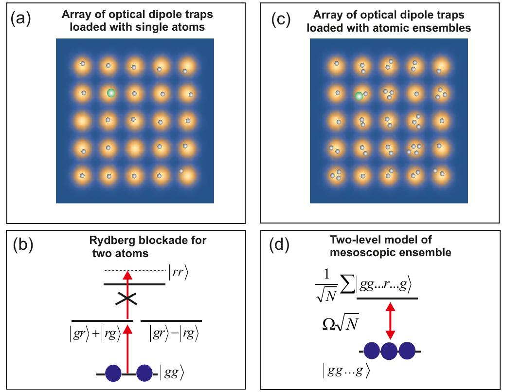 (PDF) Application of adiabatic passage in Rydberg atomic ensembles for ...