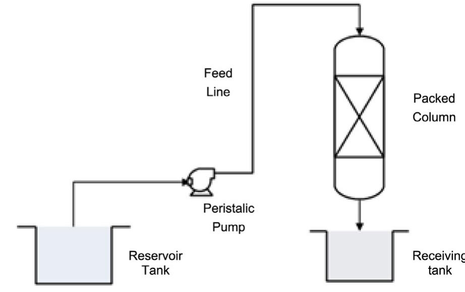Figure 13 - Continuous fixed-bed column study for the