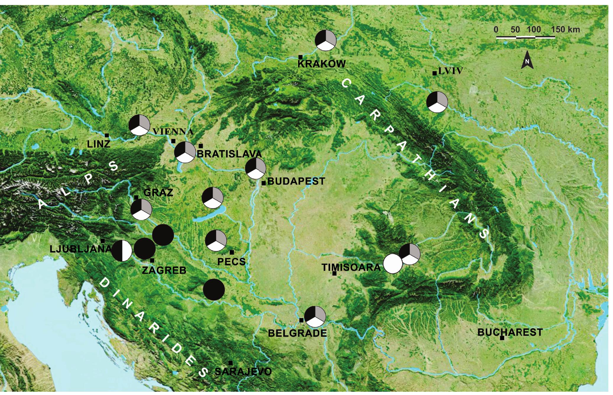 (PDF) Middle Miocene shark teeth from the southern margin of the ...