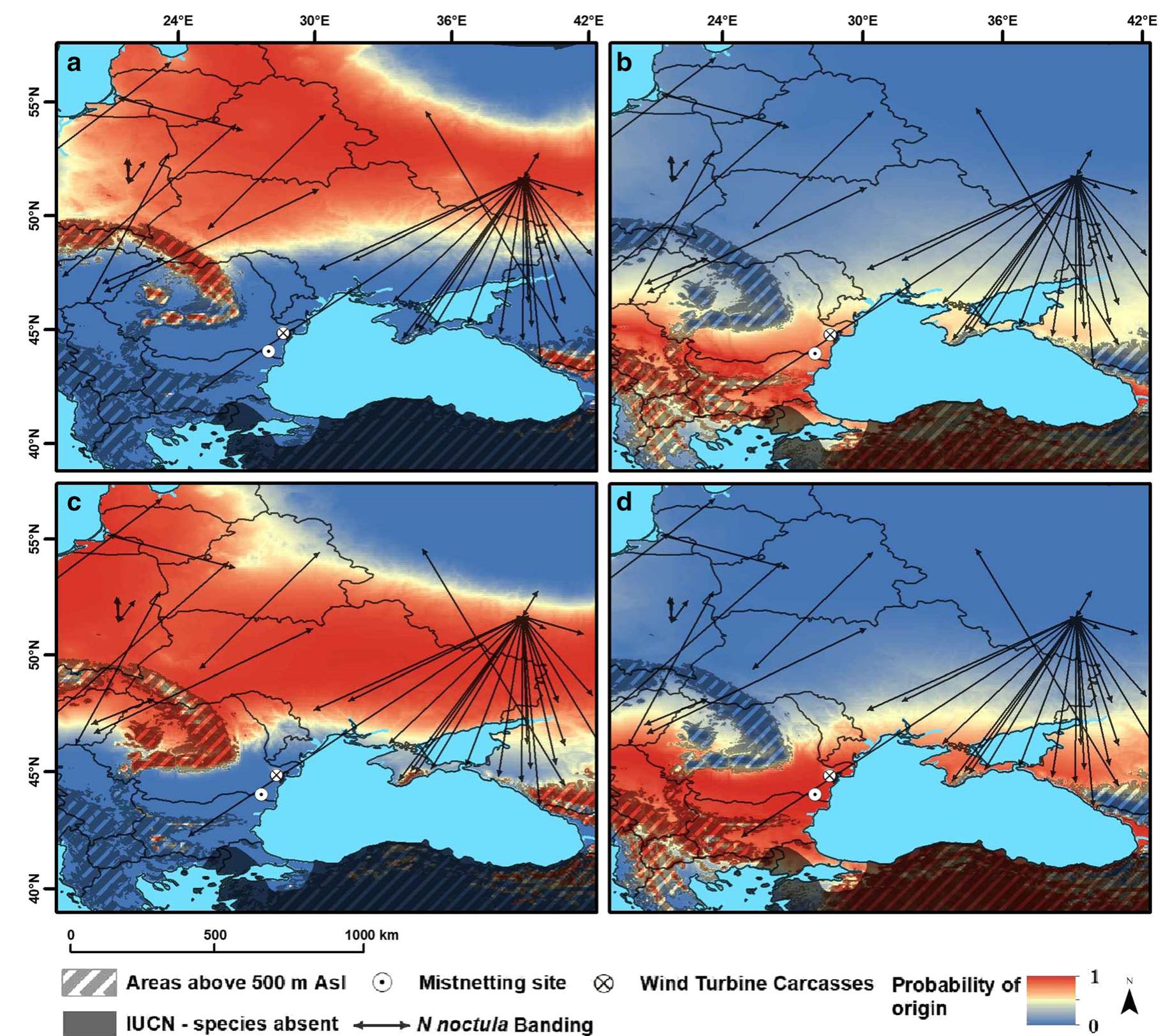 (PDF) Wildlife and infrastructure: impact of wind turbines on bats in ...