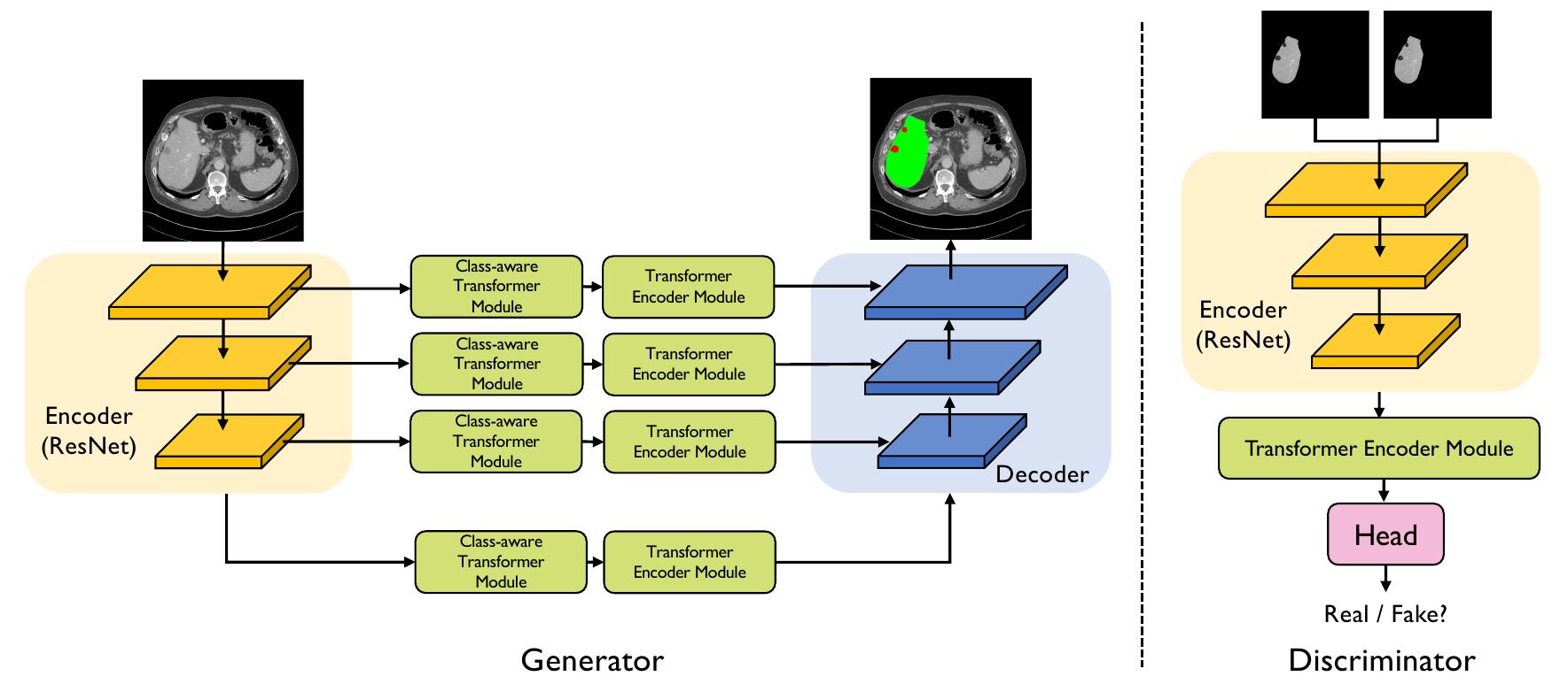 (PDF) Class-Aware Generative Adversarial Transformers for Medical Image ...