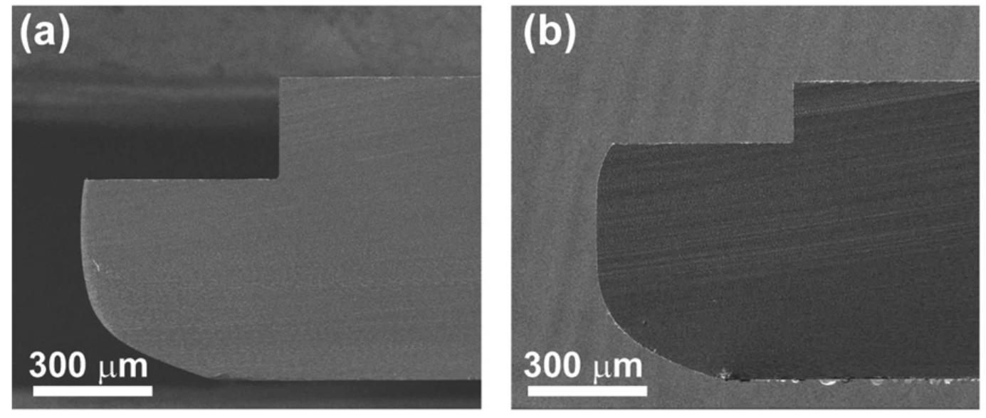Cross-sectional sem images of a single wafer edge after