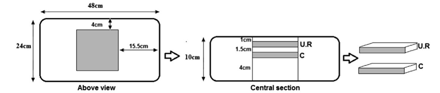 Cheese Block Sampling Figure 1 - from Spatial characterisation of eye-growing