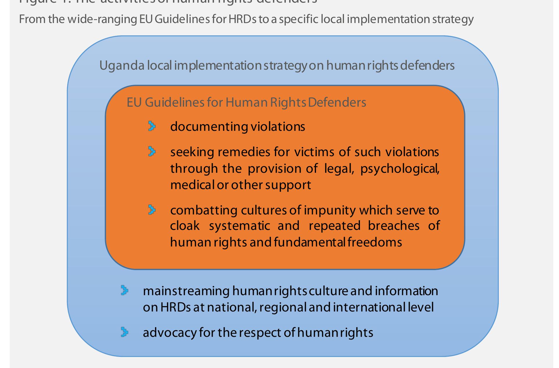 legislation or to contribute to the generation of ideas for drawing up national plans and strategies on human rights. EU delegations have developed local implementation strategies, as indicated in the 2009 annual report on humanrights and democracy,” and on rare occasions, these are publicly available on the EU delegation webpage. As the Uganda local implementation strategy below shows, HRDs' activities are adapted to the difficulties and permissiveness of the local context. 