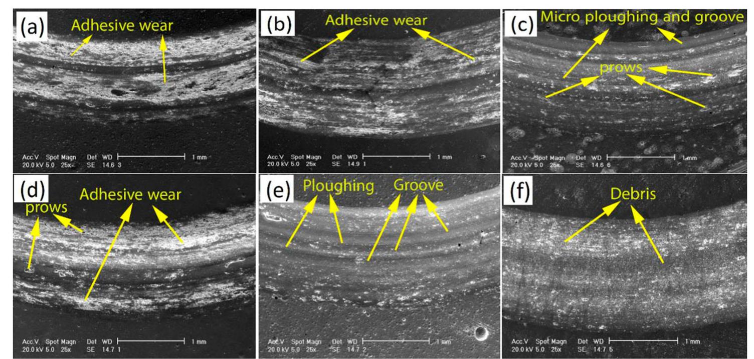Sem images of worn surface morphology of the coatings with