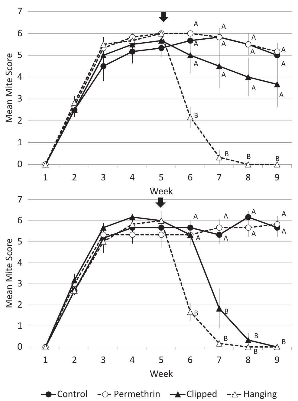 Fig. 2. Weekly mean (+ SE) mite scores for trial 1 (top) and 2: control, per- methrin strip, clipped bag, hanging bag. Treatments were deployed after mite counts at week 5 (arrow). Weekly means after treatment date with the same letter are not significantly different (P= 0.05).