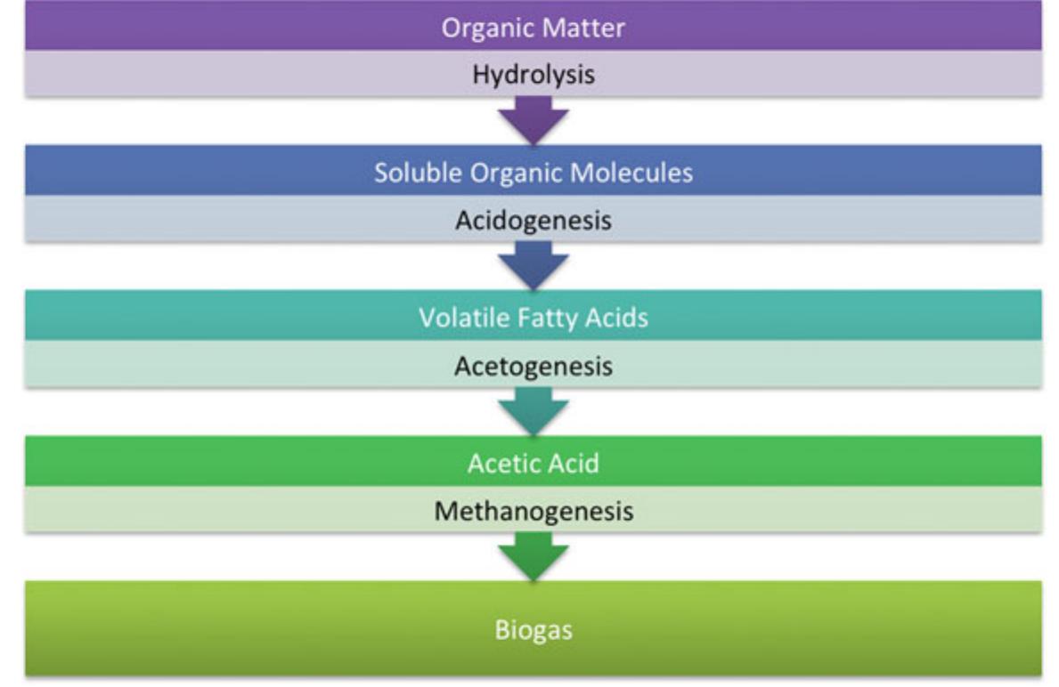 Figure 1 - from Biogas Processing, Storage and Distribution,