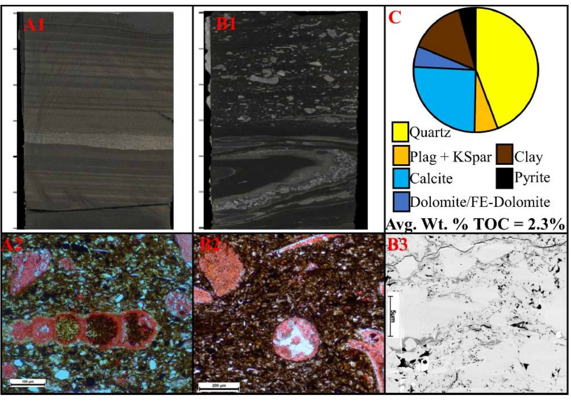 5a Shell Sample Figure 21 - from Reservoir Characterization of the Bone