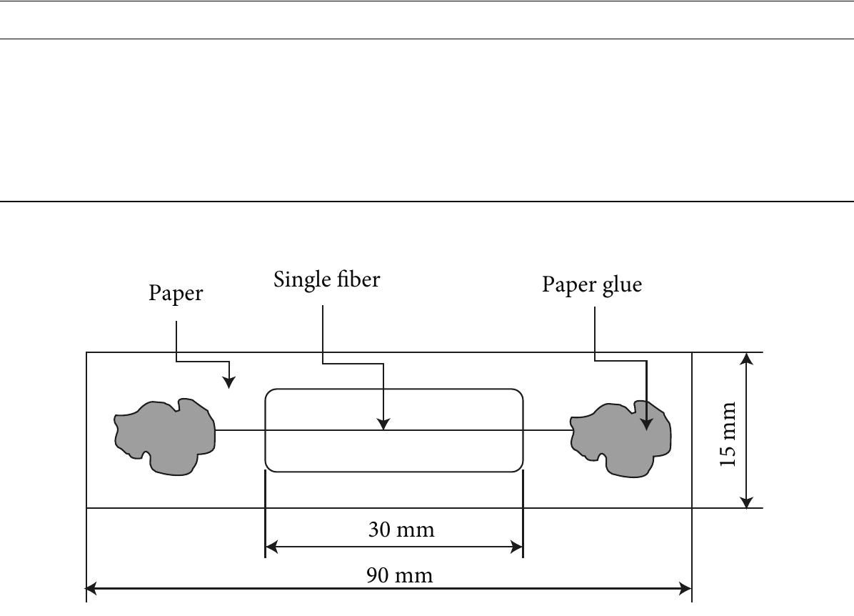 (PDF) Tension Strength and Fiber Morphology of Agave Cantala Roxb ...
