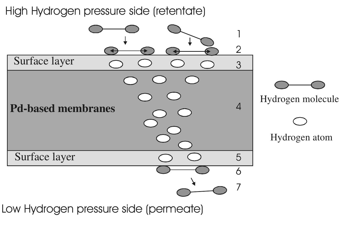 Figure 14 - from Correlations in palladium membranes for