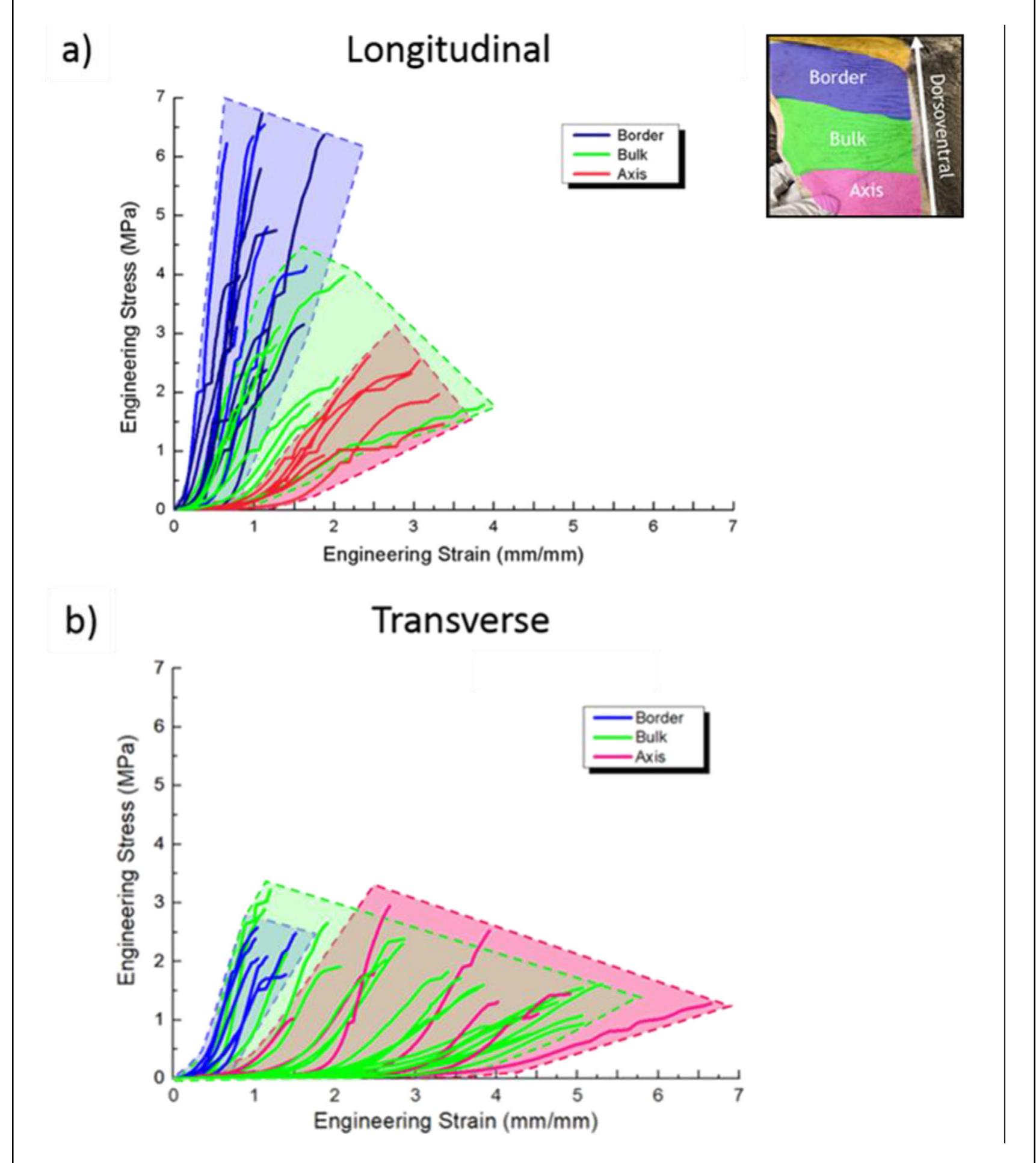 Gradients in mechanical response exhibited in the