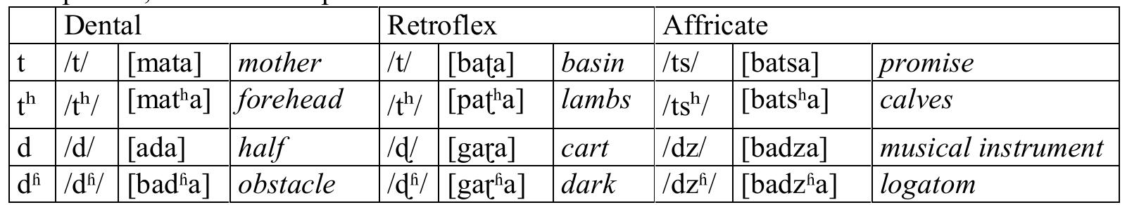 The Second corpus (Table 3) was studied to examine whether there are coarticulation effects in function of three different major vowels namely /i a u/. The purpose of this second corpus is to study the influence of the different vocalic context on the place of articulation and on lingual contact type. We have restricted the analysis to only the articulation of the robust consonantal position which is voiceless, unaspirated consonant,  i.e. [Tf]. 