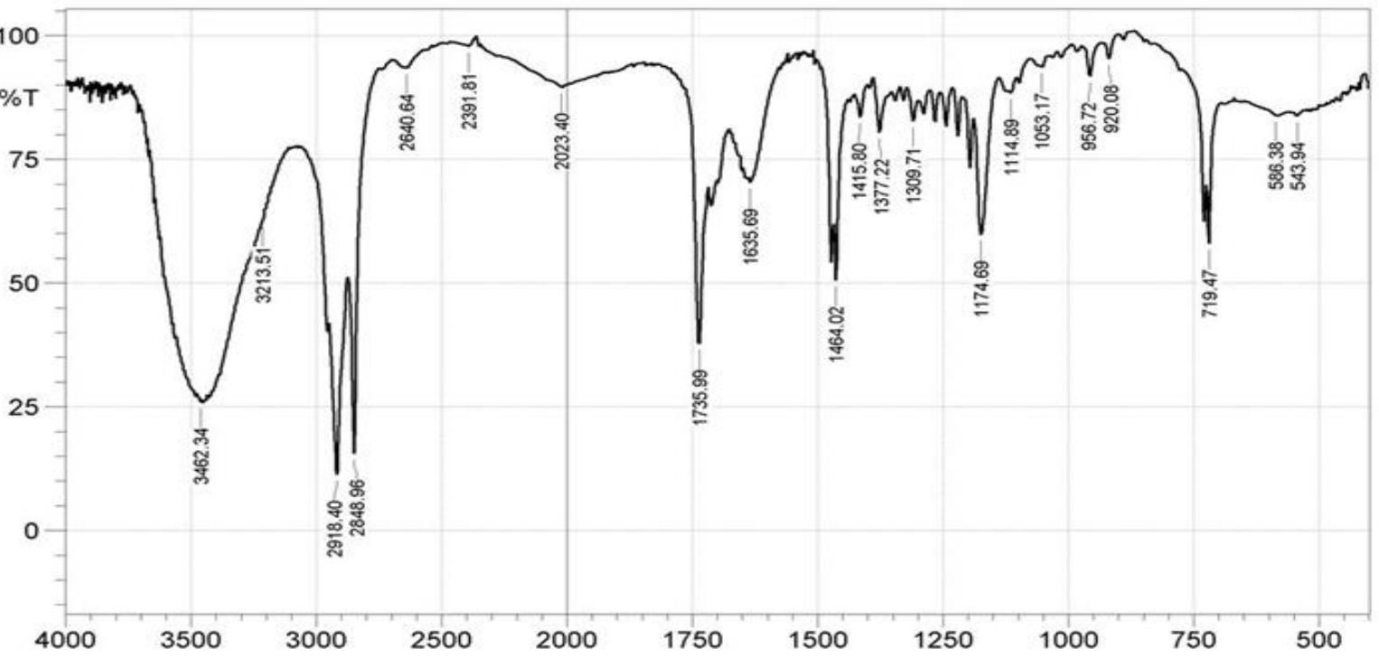 Figure 1. FTIR spectrum of the beeswax sample.  The Fourier transform infrared (FTIR) spectroscopy spectra for the beeswax and prepared soaps are show! rures 1-3. The spectra indicated the presence of asymmetric carboxylate (COO-) ions band at 1560.46 cm” h soaps and symmetric carboxylate (COO-) ions band at 1423.51 cm and 1421.58 cm! for sodium ‘assium soaps, respectively (Figure 2 and 3). These bands are however, absent in the original beeswax (Figure is shows that the potassium and sodium ions associated with the COO” ions in the monodendate structures ifirmed successful saponification. In addition, a band at about 1720 cm | (carbonyl stretch of fatty acid) appear a shoulder to the peak at around 1735.99 cm! (carbonyl stretch of ester) in beeswax spectrum (Figure 1); id together with the ester stretch are absent in spectra of the two soap samples. These further show that the fe ds and fatty esters in the starting material had been converted to metal carboxylates, and an evidence of comp onification. However, the similar bands at around 3462-3452, 1190-1016 and 719 cm’! could be attributed to  etch (of alcohol), C-O stretch, and long-chain (CH) group, respectively. 