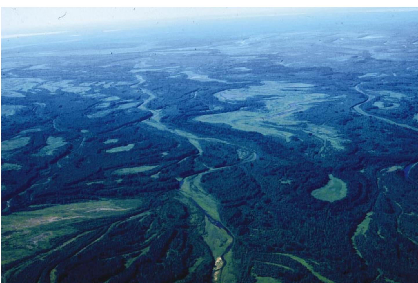 (PDF) River Avulsions and Their Deposits