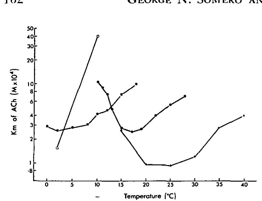(PDF) Biochemical Adaptation to the Environment