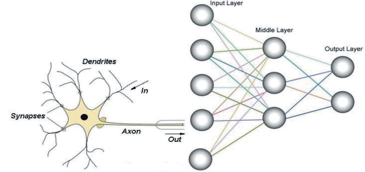 Figure 2. Simple configuration of multilayer perceptron neural network. 