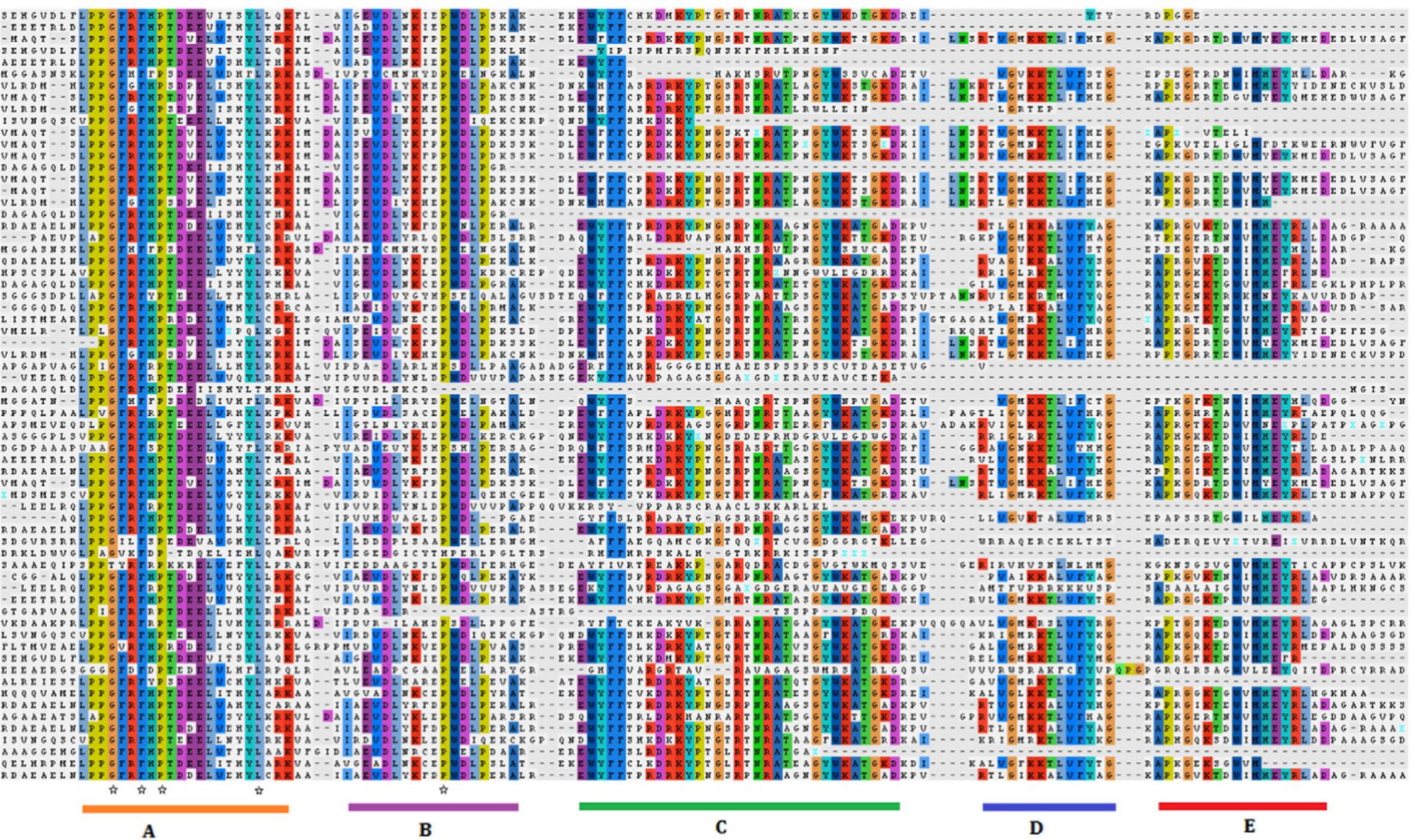 Schematic representation of 4 conserved motifs among